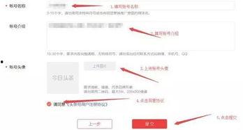 头条号的新人怎么通过的,揭秘新手如何顺利通过审核
