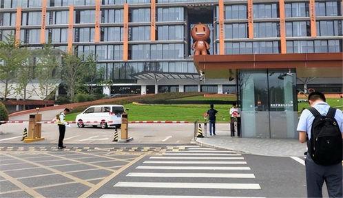 滨江区网红招聘,打造新晋网络红人聚集地