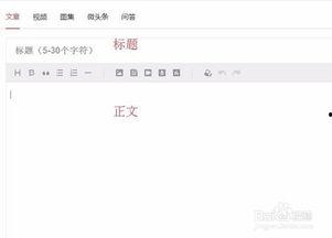 头条文章怎么加语音字幕,轻松实现视频内容字幕化