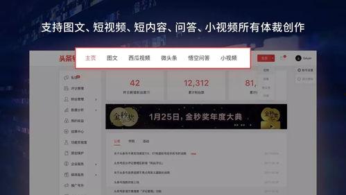 头条不显示粉丝量,揭秘不公开粉丝量的头条红人！”
