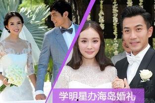 武汉明星在海岛工作,揭秘隐秘的娱乐圈角落