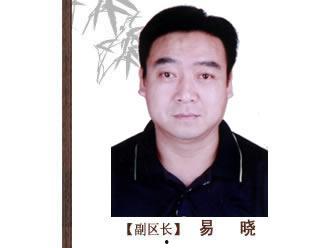 头条号易晓,头条号背后的故事与影响力