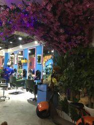 奉节网红染发店,潮流色彩，点亮你的个性风采