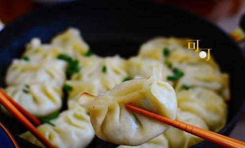 娱乐吃瓜君吃一只煎饺,娱乐吃瓜君的煎饺美食之旅