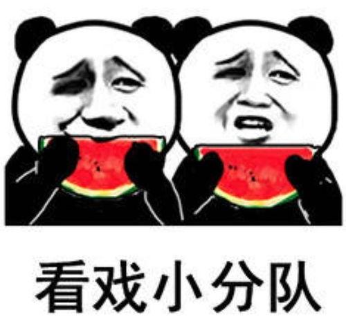 娱乐吃瓜表情包